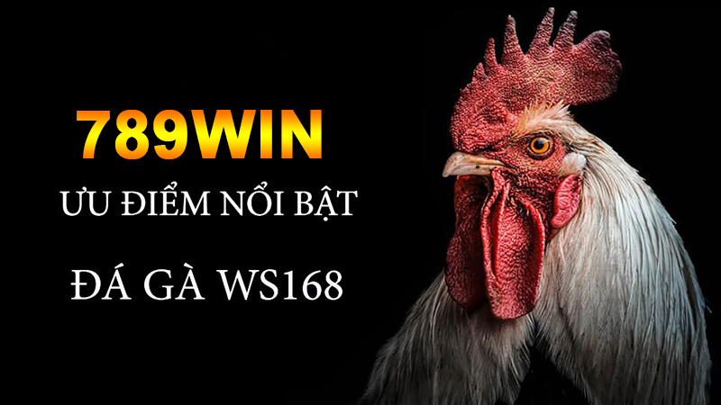 Đá gà WS168 là gì? Chiến thuật chơi đá gà thắng lớn tại 789Win 2 Các điểm nổi bật về sảnh game WS168